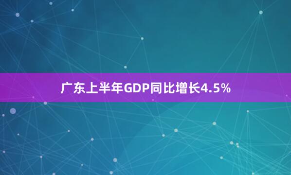 广东上半年GDP同比增长4.5%