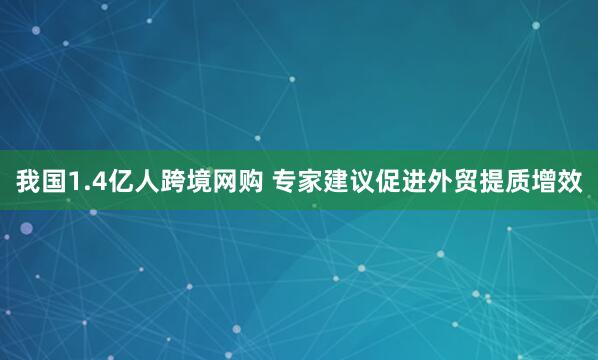 我国1.4亿人跨境网购 专家建议促进外贸提质增效
