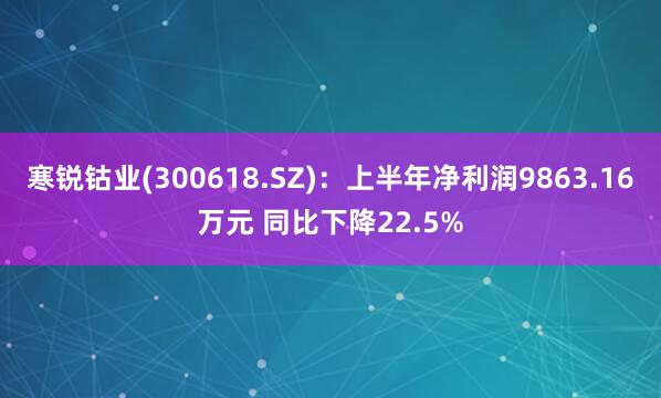 寒锐钴业(300618.SZ)：上半年净利润9863.16万元 同比下降22.5%