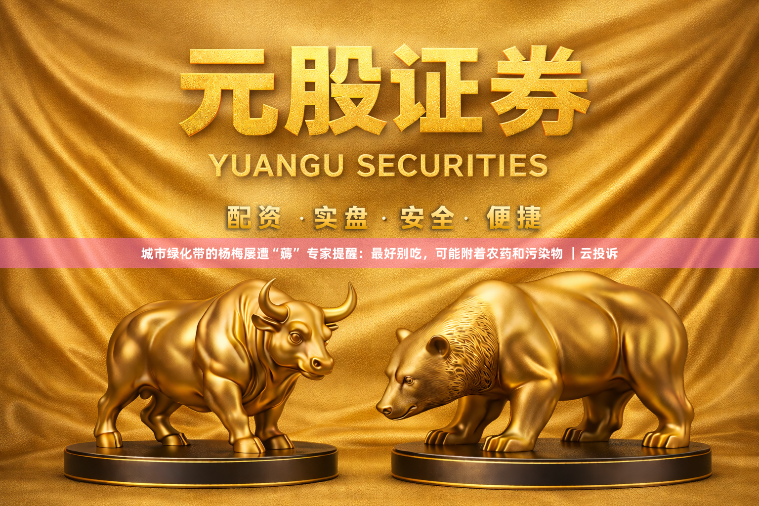 城市绿化带的杨梅屡遭“薅” 专家提醒：最好别吃，可能附着农药和污染物 ｜云投诉
