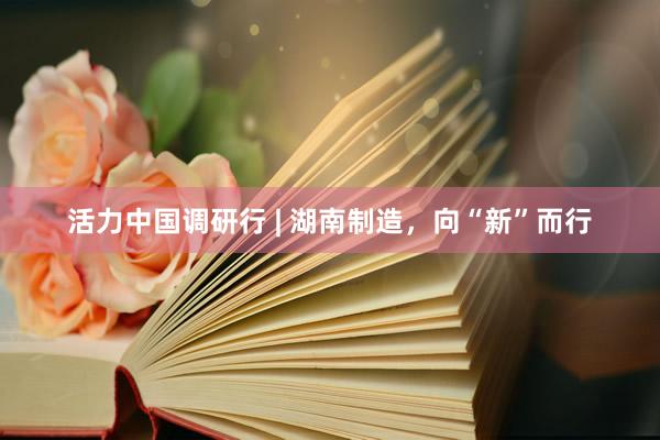 活力中国调研行 | 湖南制造，向“新”而行