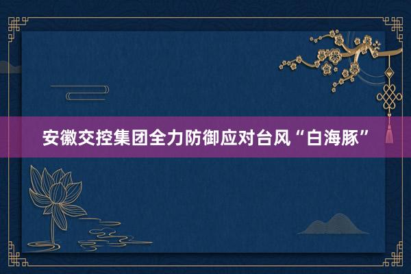 安徽交控集团全力防御应对台风“白海豚”