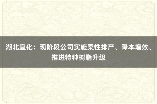 湖北宜化：现阶段公司实施柔性排产、降本增效、推进特种树脂升级