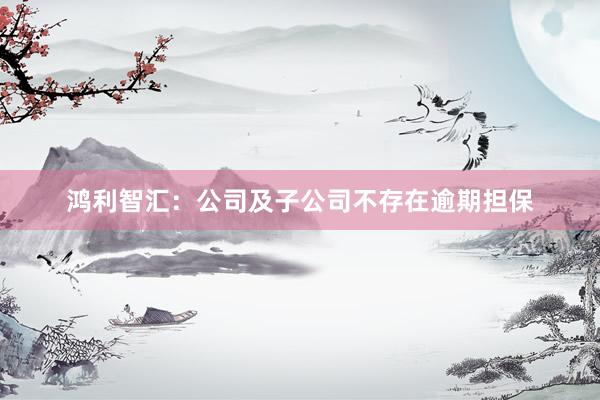 鸿利智汇：公司及子公司不存在逾期担保