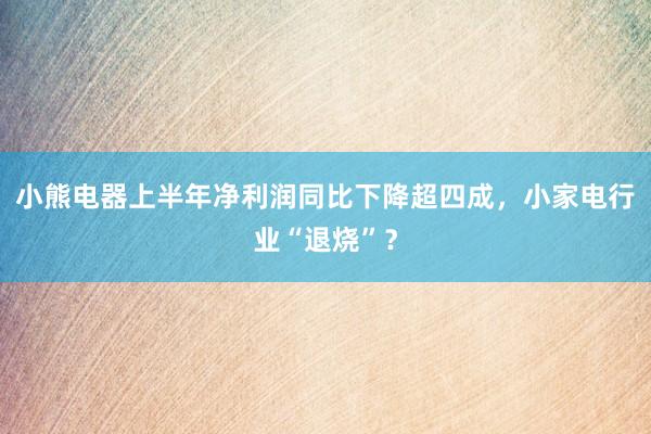小熊电器上半年净利润同比下降超四成，小家电行业“退烧”？