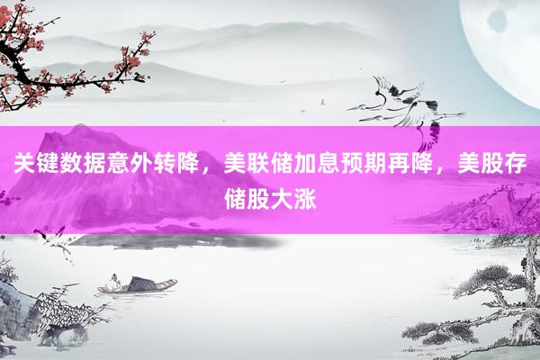 关键数据意外转降，美联储加息预期再降，美股存储股大涨