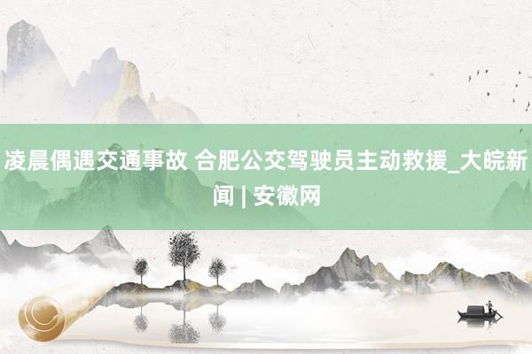 凌晨偶遇交通事故 合肥公交驾驶员主动救援_大皖新闻 | 安徽网