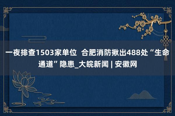 一夜排查1503家单位  合肥消防揪出488处“生命通道”隐患_大皖新闻 | 安徽网