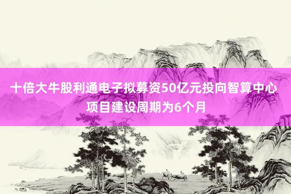 十倍大牛股利通电子拟募资50亿元投向智算中心 项目建设周期为6个月