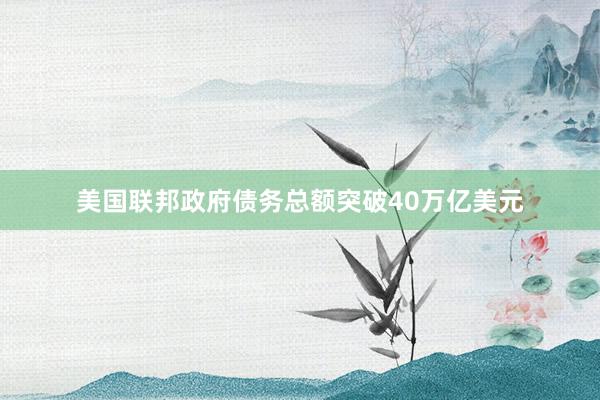 美国联邦政府债务总额突破40万亿美元