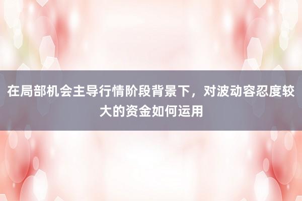 在局部机会主导行情阶段背景下，对波动容忍度较大的资金如何运用