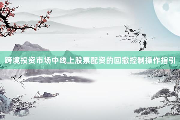 跨境投资市场中线上股票配资的回撤控制操作指引