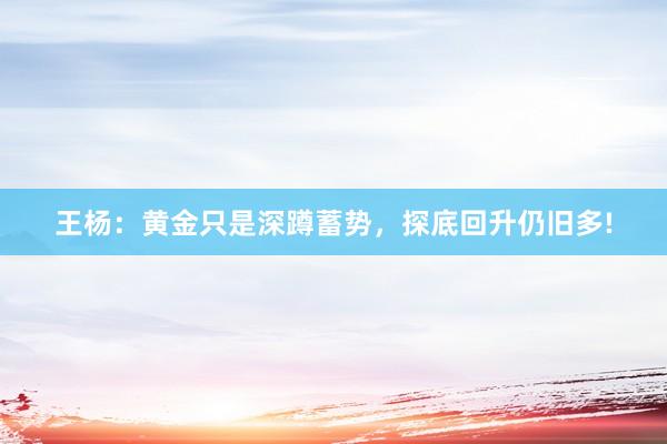 王杨：黄金只是深蹲蓄势，探底回升仍旧多!