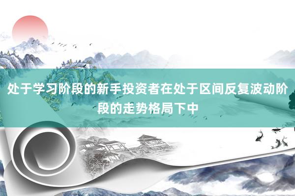 处于学习阶段的新手投资者在处于区间反复波动阶段的走势格局下中