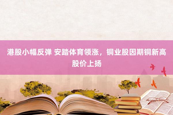 港股小幅反弹 安踏体育领涨，铜业股因期铜新高股价上扬