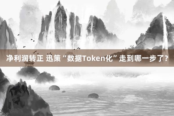 净利润转正 迅策“数据Token化”走到哪一步了？