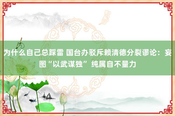 为什么自己总踩雷 国台办驳斥赖清德分裂谬论：妄图“以武谋独” 纯属自不量力