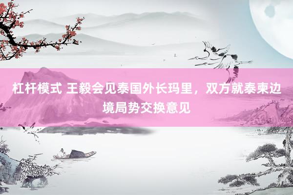杠杆模式 王毅会见泰国外长玛里，双方就泰柬边境局势交换意见