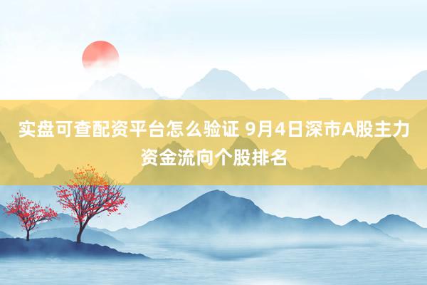 实盘可查配资平台怎么验证 9月4日深市A股主力资金流向个股排名