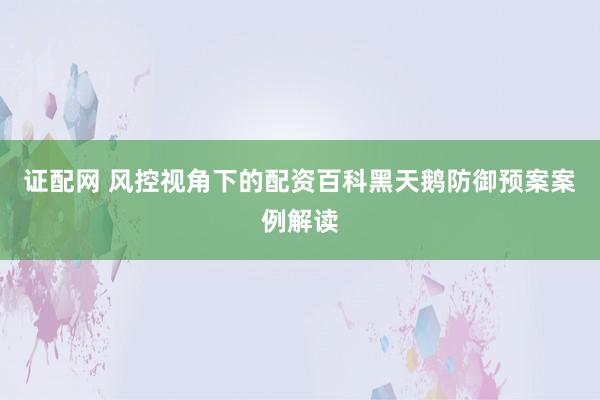 证配网 风控视角下的配资百科黑天鹅防御预案案例解读