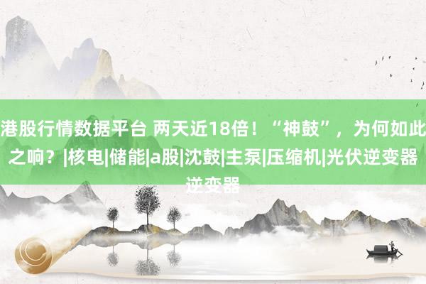 港股行情数据平台 两天近18倍!“神鼓”,为何如此之响?|核电|储能|a股|沈鼓|主泵|压缩机|光伏逆变器