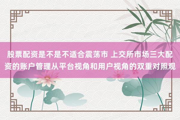股票配资是不是不适合震荡市 上交所市场三大配资的账户管理从平台视角和用户视角的双重对照观