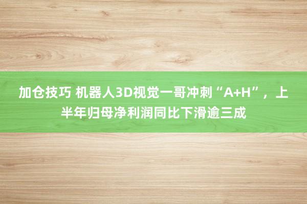 加仓技巧 机器人3D视觉一哥冲刺“A+H”，上半年归母净利润同比下滑逾三成