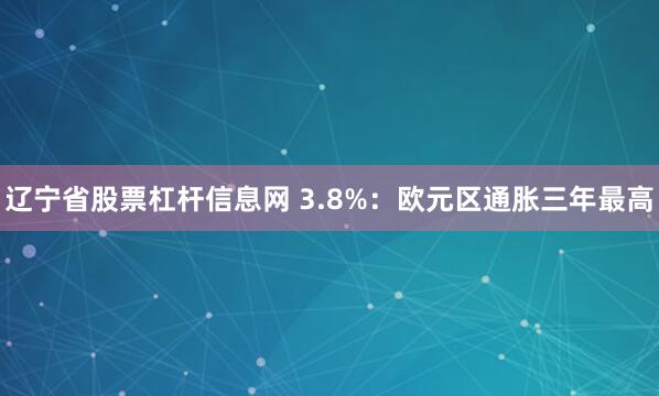 辽宁省股票杠杆信息网 3.8%：欧元区通胀三年最高