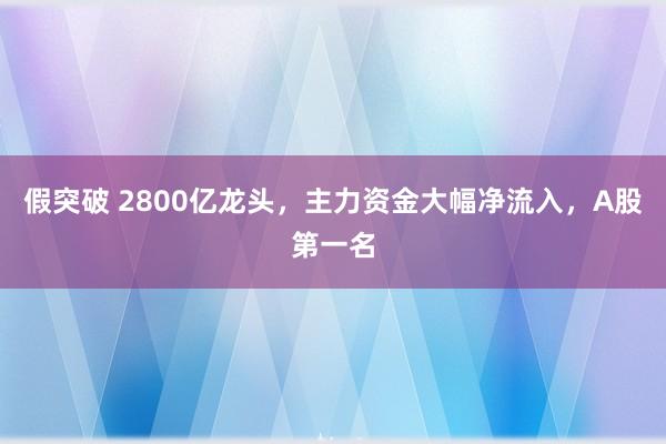假突破 2800亿龙头，主力资金大幅净流入，A股第一名