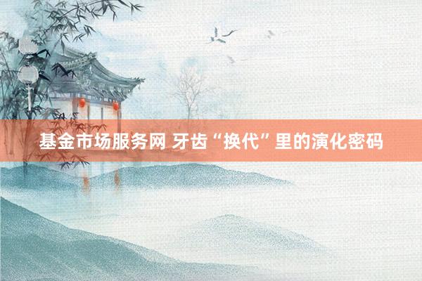 基金市场服务网 牙齿“换代”里的演化密码