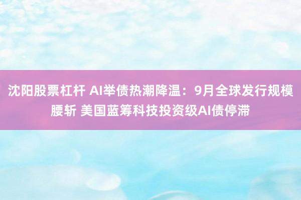 沈阳股票杠杆 AI举债热潮降温：9月全球发行规模腰斩 美国蓝筹科技投资级AI债停滞