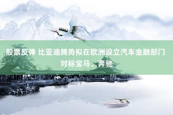 股票反弹 比亚迪腾势拟在欧洲设立汽车金融部门 对标宝马、奔驰