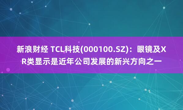 新浪财经 TCL科技(000100.SZ)：眼镜及XR类显示是近年公司发展的新兴方向之一